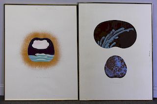 LUKIN, Sven. Two 1973 Silkscreens.