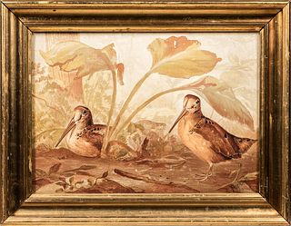 Framed Lithograph of Two Woodcocks