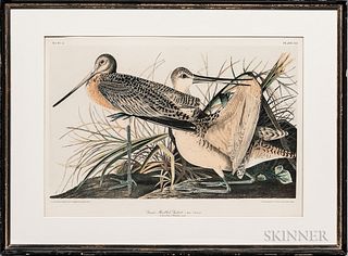 John James Audubon (1785-1851) Great Marbled Godwit  , Plate 353, and Esquimaux Curlew  , Plate 357