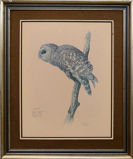 J.F. LANSDOWNE NUMBERED PRINT OF A  OWL