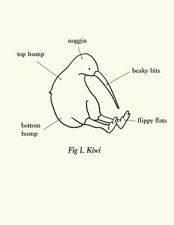 IRIS FUNG, Anatomical Diagram of a Kiwi