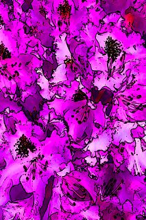 WALLY GILBERT, Flowers - Purple