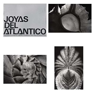 PEDRO MEYER, Joyas del Atlántico, Firmadas, Plata / gelatina, 70 / 230, 14.6x 21.6 cm cada una, Piezas: 6