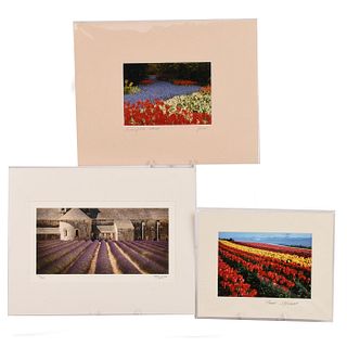 THREE PRINTS OF LANDSCAPES, FIELDS OF TULIPS AND LAVENDER