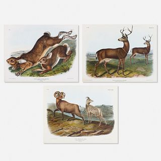 John James Audubon, three works from The Viviparous Quadrupeds of North America, Imperial Folio Edition