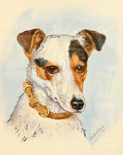 ARTHUR COOKE, STUDY OF A JACK RUSSELL, signed and dated 1919 lower right, w