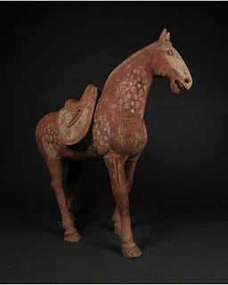 LARGE CHINESE TANG TERRACOTTA HORSE - TL TESTED
