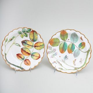 Royal Worcester Blind Earl Pattern Plate and a Similar Plate