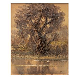 Sergio Bravo Hidalgo. Vista con árbol. Firmado y fechado Mex. Técnica mixta sobre tela. Enmarcado. 50 x 40 cm