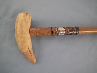 WHALE TOOTH CANE 