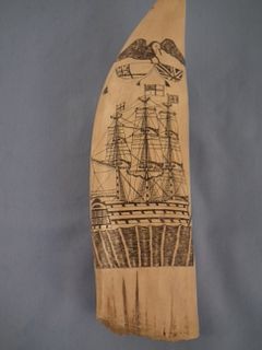 SCRIMSHAW WHALE TOOTH 