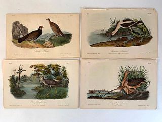 Four Audubon Plates of Birds in Landscapes