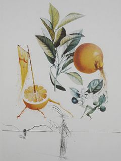 SALVADOR DALI, Grapefruit, Fruits Suite Etching