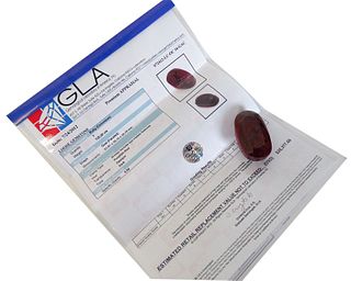 GLA Certified Oval Shape Ruby 725.00cts