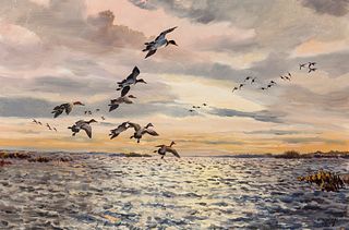 Hugh Monahan | High Tide Afternoon Canvasbacks