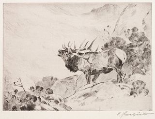 Carl Rungius
(American, 1869-1959)
Lone Elk