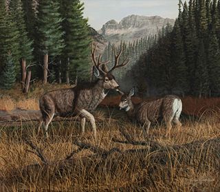 Trevor Swanson
(American, b. 1968)
Whitetail Deer
