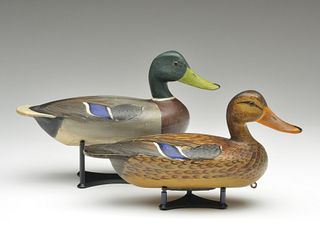 Excellent pair of mallards, Roy Patterson, East Peoria, Illinois, 1946.