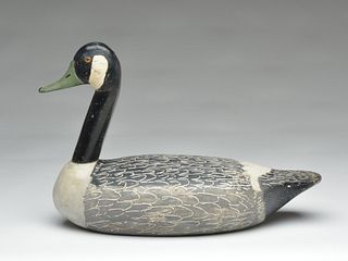 Canada goose, Otto Garren, Canton, Illinois.