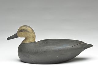 Hollow carved black duck, Dave "Umbrella" Watson, Chincoteague, Virginia, 1st quarter 20th century.