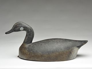 Canada goose, possibly Charles Reeves, Long Point, Ontario, 1st quarter 20th century.