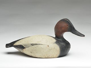 Well carved 1936 model canvasback drake, Ward Brothers, Crisfield, Maryland.