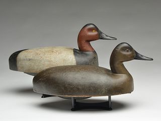 Rigmate pair of canvasbacks, Christie Brothers, Saginaw Bay, Michigan, 1st quarter 20th century.