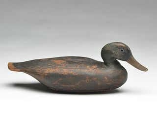Early and important black duck, unknown maker, Port Clinton, Ohio, 2nd half 19th century.