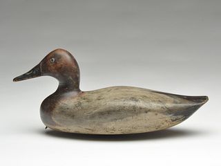 Canvasback hen, unknown carver, used at the Winous Point Shooting Club, Port Clinton, Ohio, 3rd quarter 19th century.