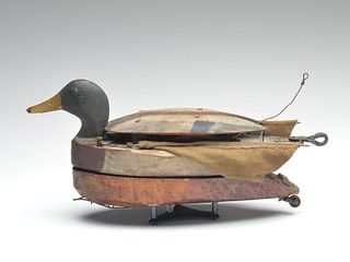 Rare mechanical flapping wing mallard drake, possibly from Ohio, 1st quarter 20th century.
