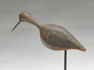Dowitcher from the Eastern Shore of Virginia, last quarter 19th century.