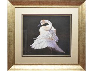 Pastel of a trumpeter swan stretching its wings, Kristi Billmayer (b.1954).