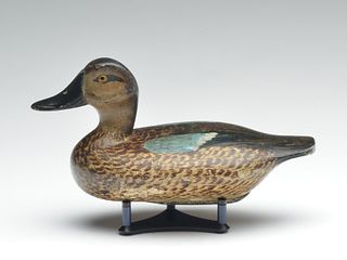 Early bluewing teal hen, Judge Glen Cameron, Chillicothe, Illinois, 1st quarter 20th century.