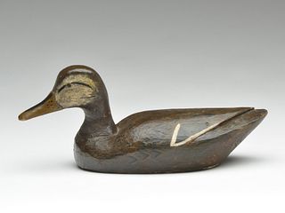 Black duck, Laurent Verdin, Sr., Bayou Blue, Louisiana.
