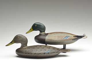 Outstanding and important rigmate pair of mallards, Harvey Stevens, Weedsport, New York.