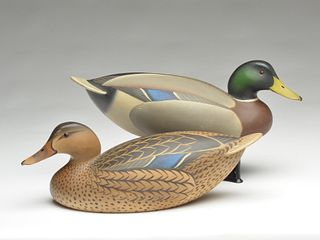 Pair of Ward Brothers style mallards, 1948 high tail, Oliver Lawson, Crisfield, Maryland.