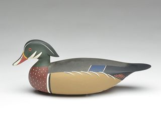 Wood duck drake, JP Hand, Goshen, New Jersey.