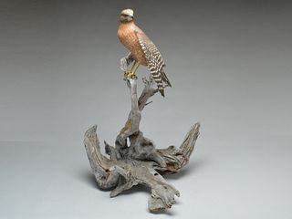 * Carved wooden red tailed hawk on wooden base.