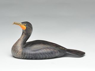 1/2 size cormorant, Kenneth Scheeler.