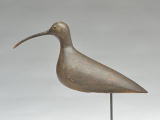 Large curlew from Nantucket, 3rd quarter 19th century.