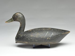 Rare high neck style black duck, John R. Wells, Toronto, Ontario.