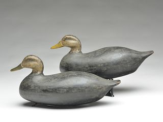 Pair of oversize black ducks, Clark Madera, Pitman, New Jersey.
