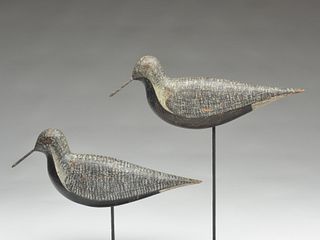 Pair of very large black bellied plover, New Jersey, circa 1900.