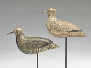 Pair of plover, Chet Schute, Cape May, New Jersey, last quarter 19th century.