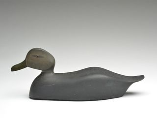 Oversize black duck, Captain Clarence Bailey, Kingston, Massachusetts.