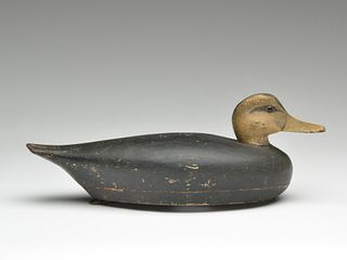 Hollow carved black duck from New England, 1st quarter 20th century.