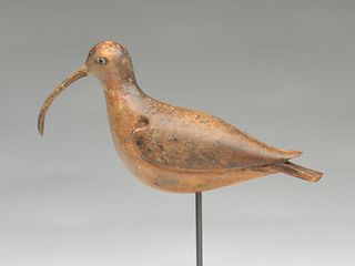 Curlew from the South Shore of Long Island, New York, last quarter 19th century.