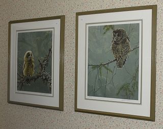 Two pencil signed prints by Robert Bateman