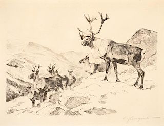 Carl Rungius (1869–1959), Mountain Caribou