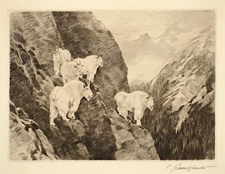 Carl Rungius (1869–1959), Goats